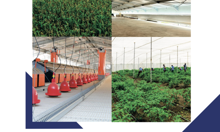 SONOCO Business Review N°0003 – EN