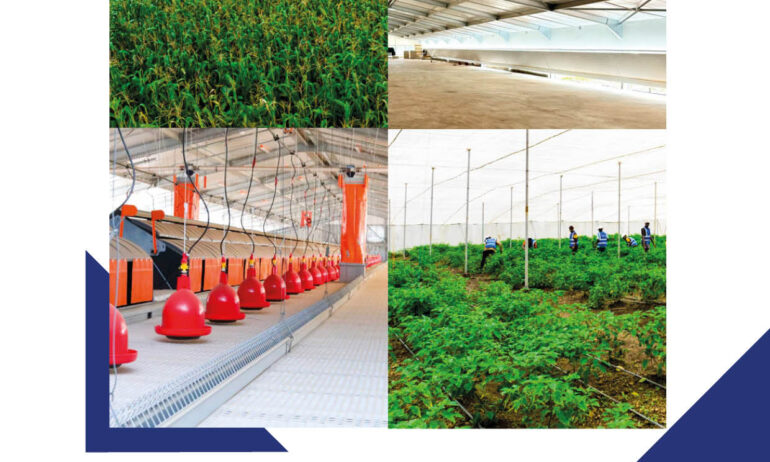 SONOCO Business Review N°0003 – EN